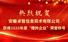 熱烈祝賀安徽（huī）羞羞视频网站信息技術（shù）有限公司（sī）獲得2020年度“瞪羚企業（yè）”榮譽（yù）稱號